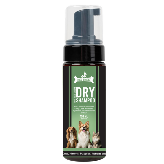 Dogz & Dudez Holy Basil & Algae Dry Shampoo for Dogs & Cats (200 ML)Removes Dirt, Hydrates Skin With Algae Extract to Moisturize skin, provide anti bacterial barrier and Holy Basil for Anti Inflammation | Provides Clean and Shiny Coat